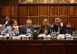 Parte del Grupo Popular del Cabildo de Gran Canaria en una sesión plenaria.