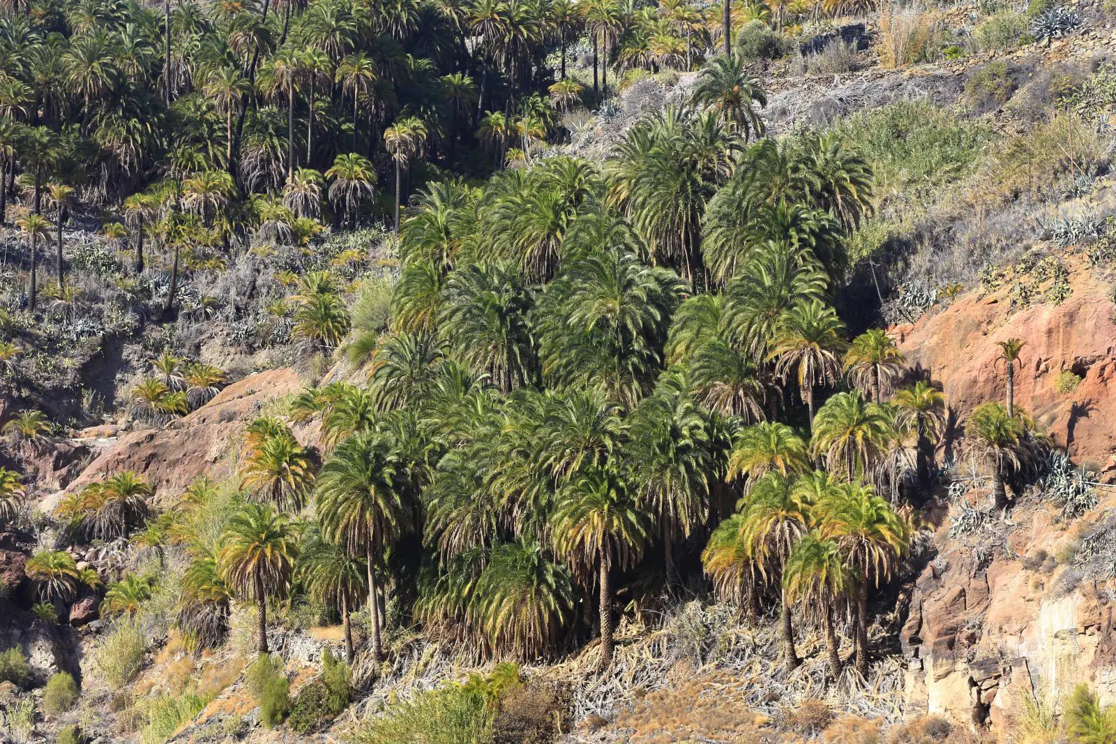 La Sorrueda, bajo mínimos