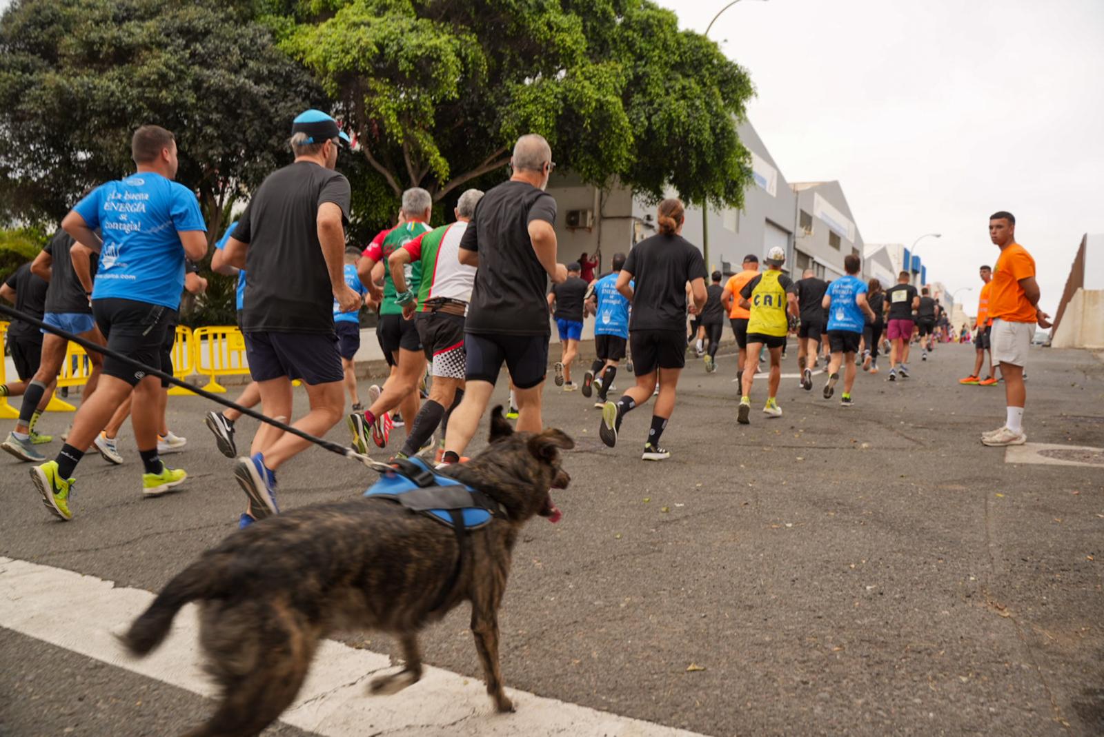 La XI Carrera El Sebadal, en imágenes