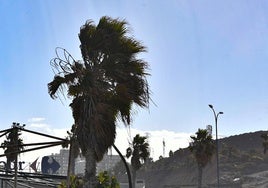 Precaución este fin de semana en Canarias: aconsejan no subir a las cumbres por los fuertes vientos