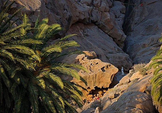 Rocas y palmeras de las Peñitas, entre los municipios de Pájara y Betancuria.