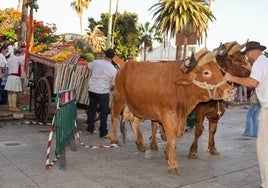 La romería ofrenda de La Naval recauda cerca de 600 kilos de alimentos