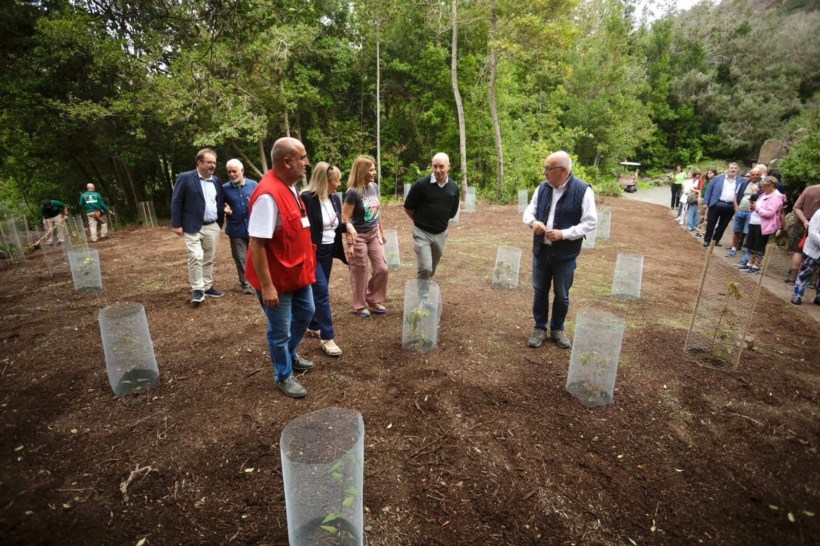 La plantación de Cruz Roja en el Jardín Canario, en imágenes