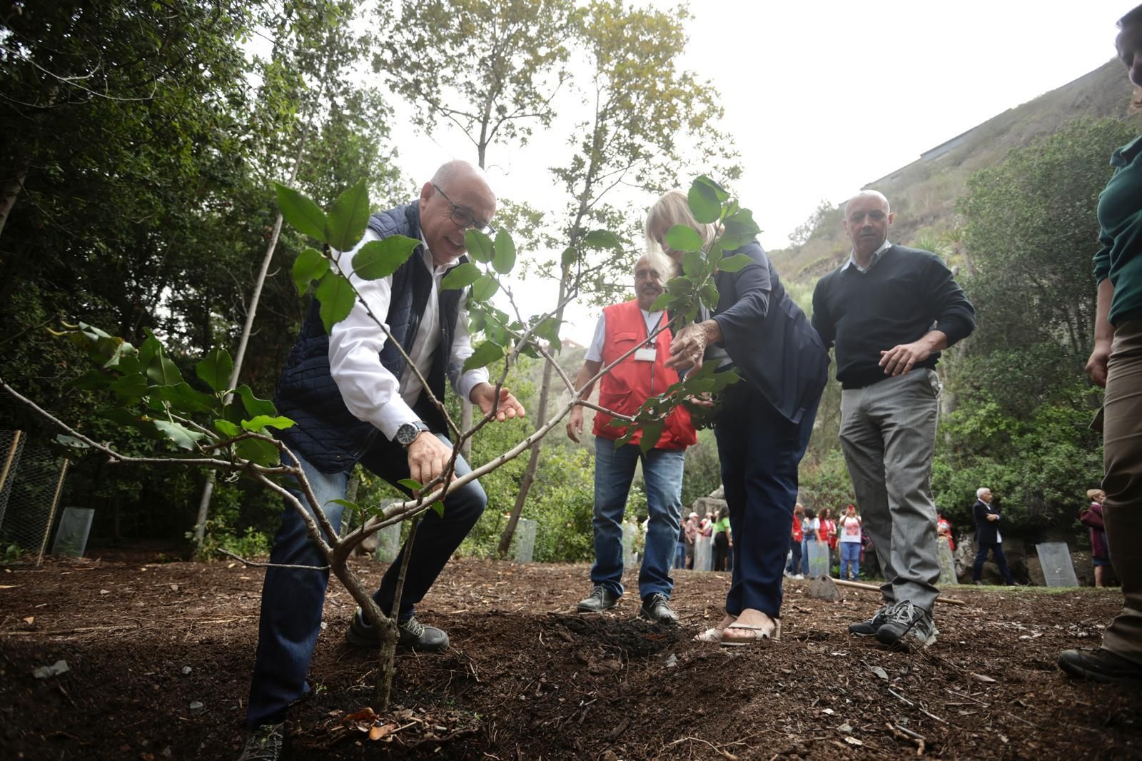 La plantación de Cruz Roja en el Jardín Canario, en imágenes