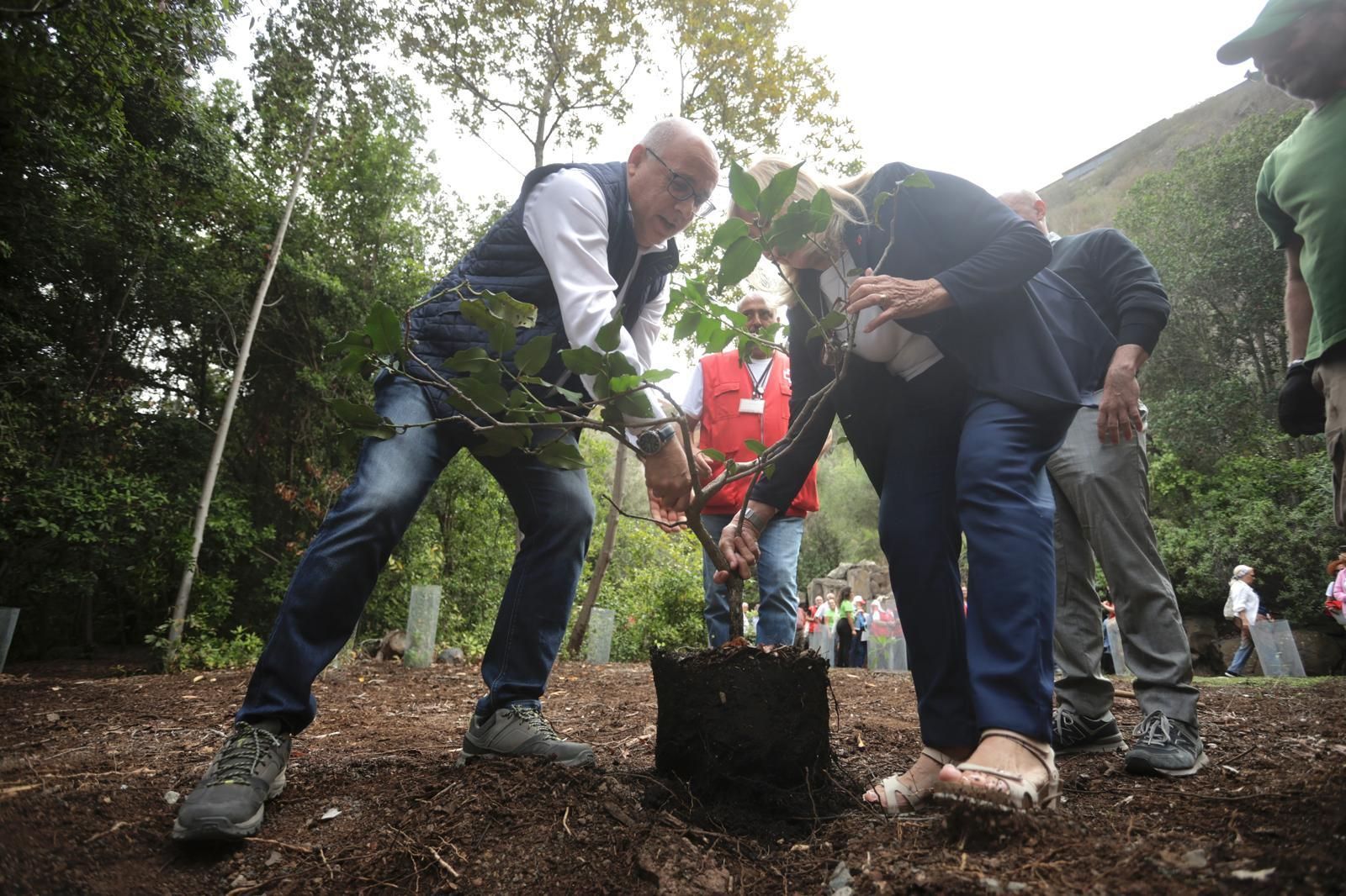 La plantación de Cruz Roja en el Jardín Canario, en imágenes