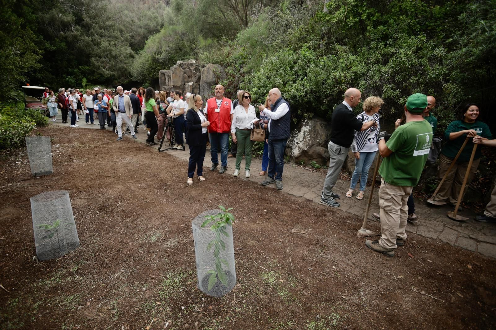 La plantación de Cruz Roja en el Jardín Canario, en imágenes