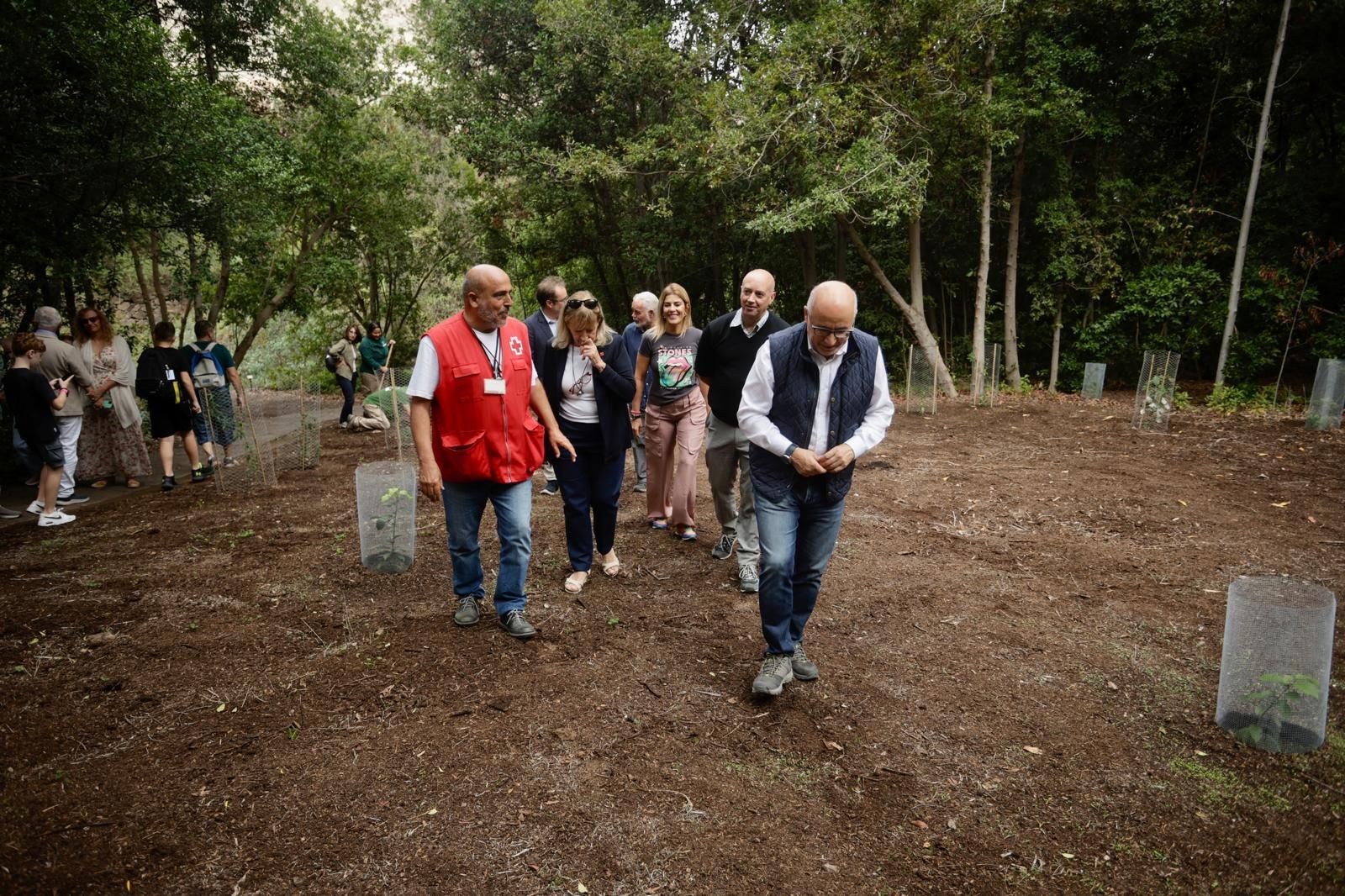 La plantación de Cruz Roja en el Jardín Canario, en imágenes