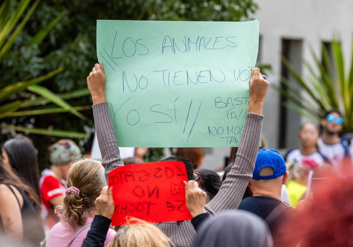 En imágenes, la manifestación para proteger a los gatos