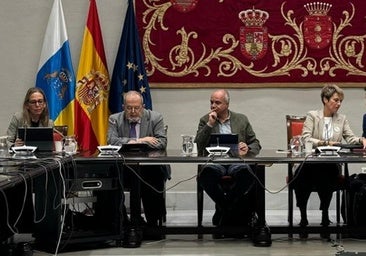 Ana Suárez pide reforzar los consejos sociales «como la voz de la sociedad en la universidad»