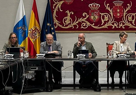 Comparecencia de Ana Suárez (i) en la Comisión de Educación.