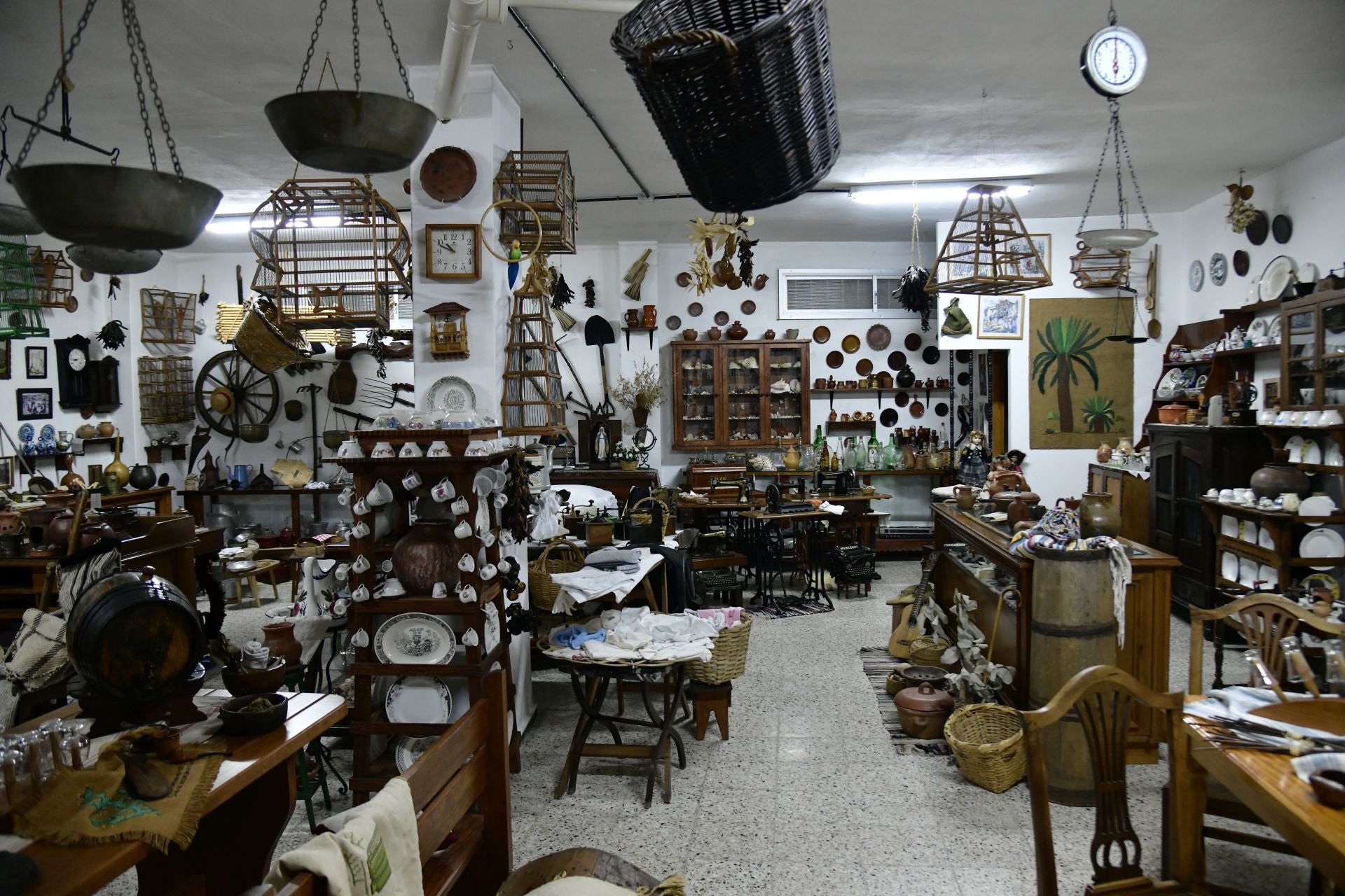 El garaje reconvertido en un museo canario, en imágenes