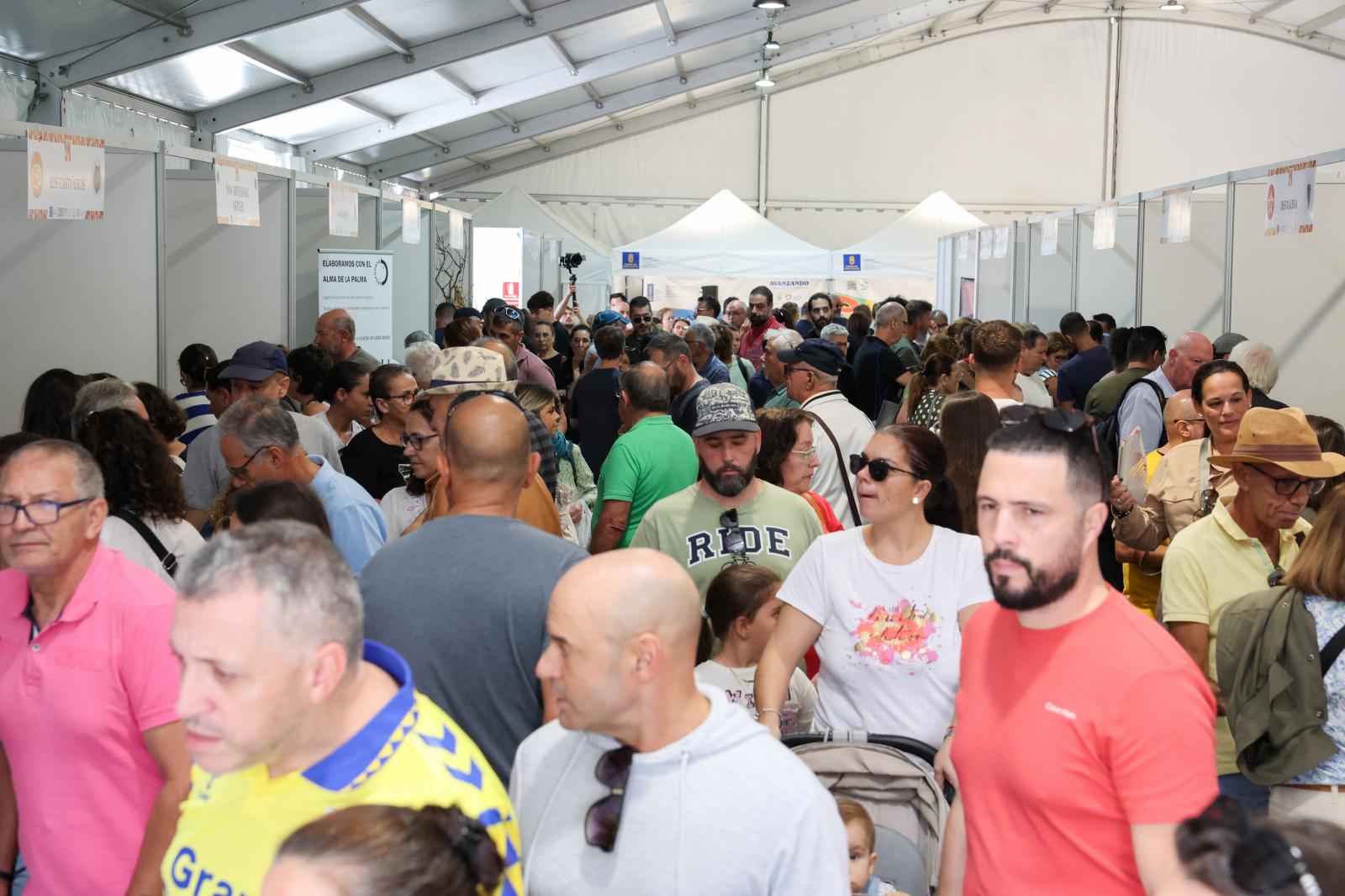 Las mejores imágenes de la feria regional de vino, queso y miel en Santa Brígida