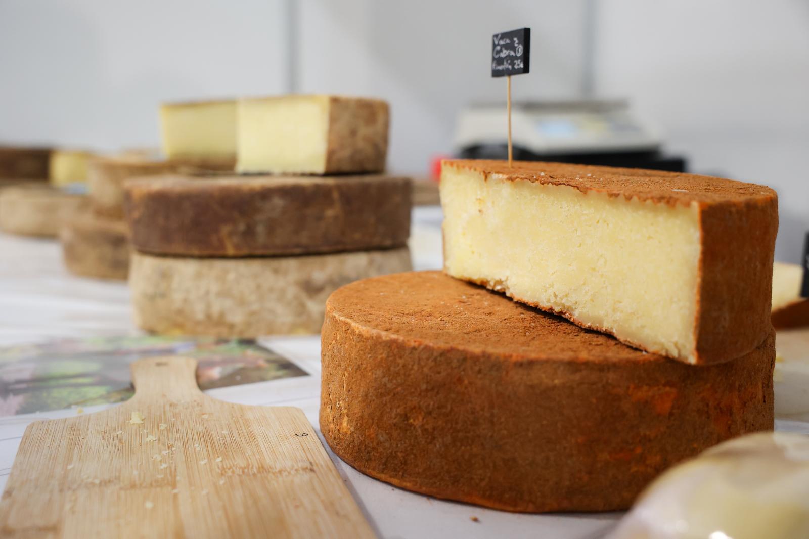 Las mejores imágenes de la feria regional de vino, queso y miel en Santa Brígida