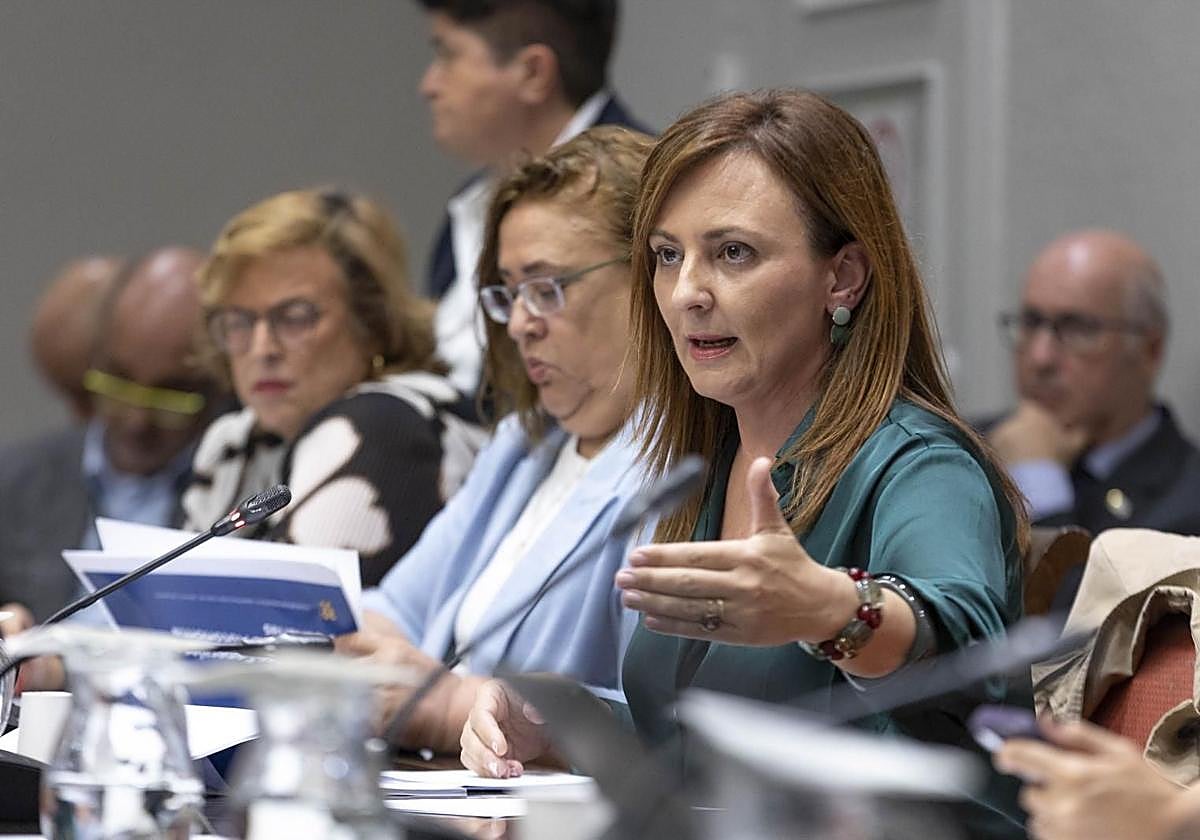 La consejera Nieves Lady Barreto, ayer en la comisión de presupuestos.