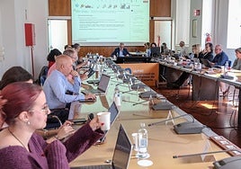 Un momento del Consejo de Gobierno de la universidad pública grancanaria.