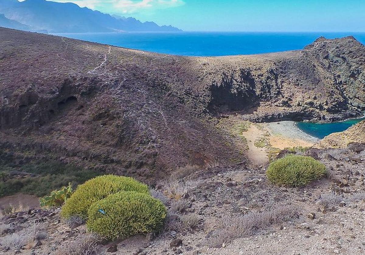 Imagen del barranco del Juncal.