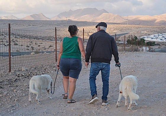 Padre e hija, con sus dos perros, pasean por Costa Calma, en el municipio de Pájara.