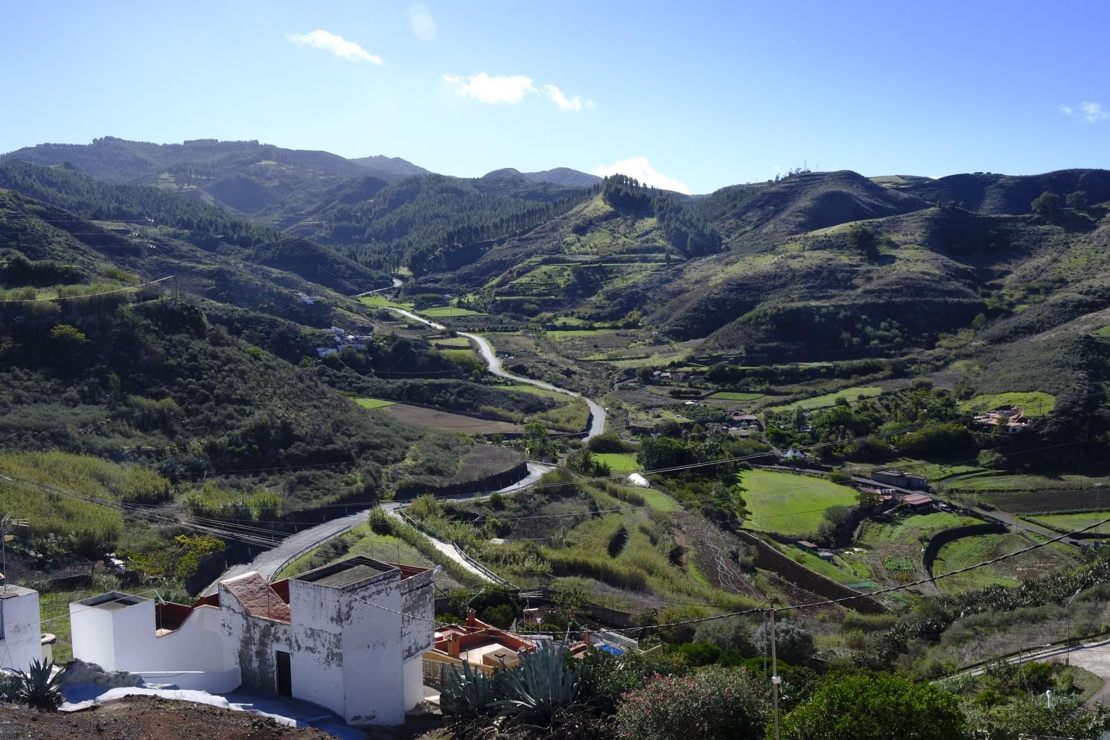 Gran Canaria amanece verde y sin lluvia