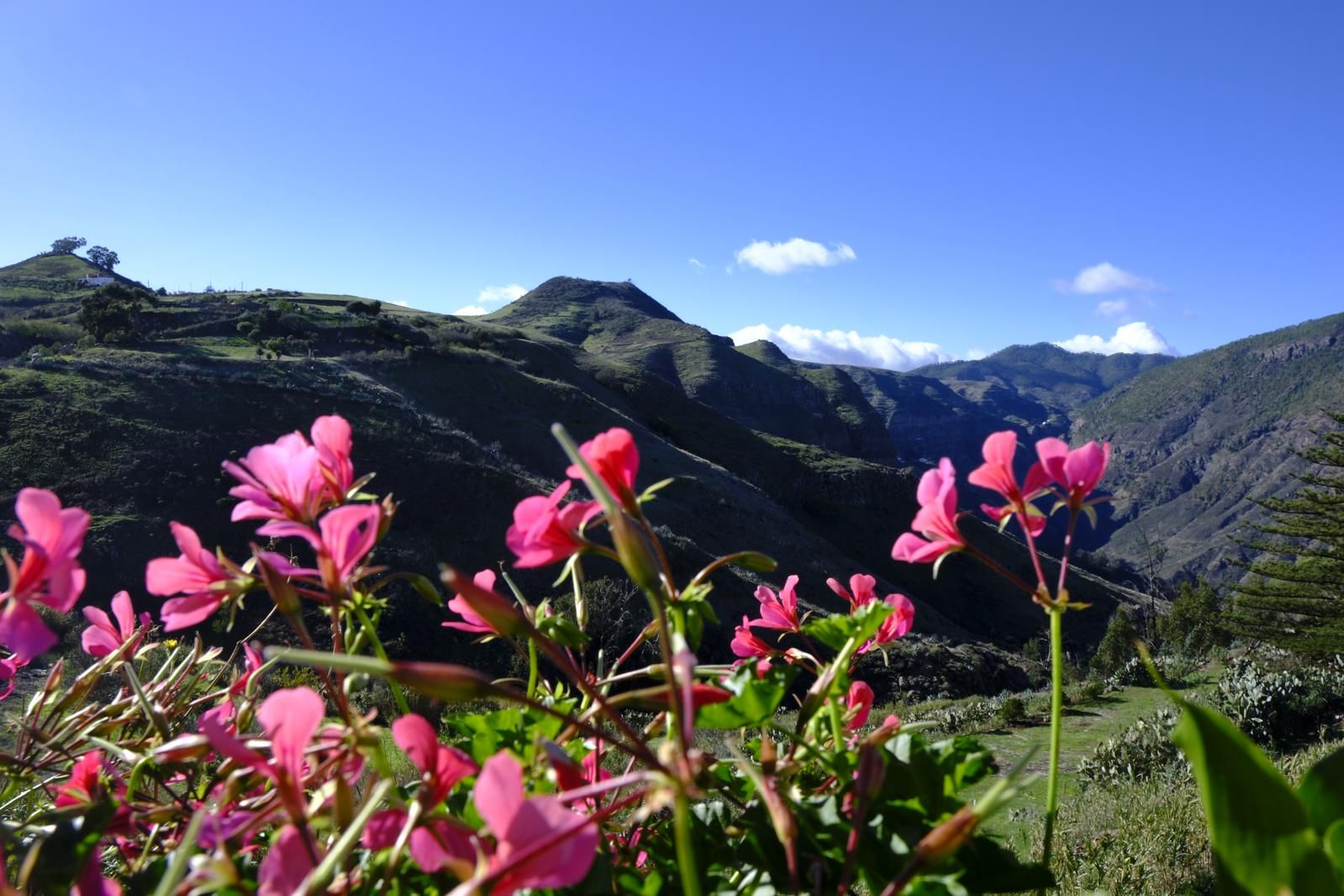 Gran Canaria amanece verde y sin lluvia