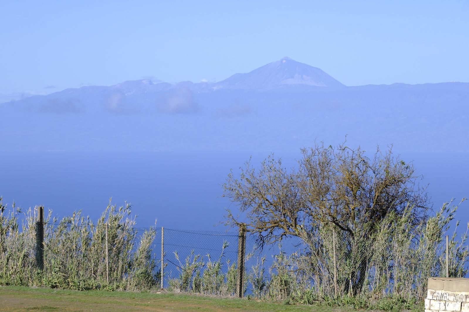 Gran Canaria amanece verde y sin lluvia