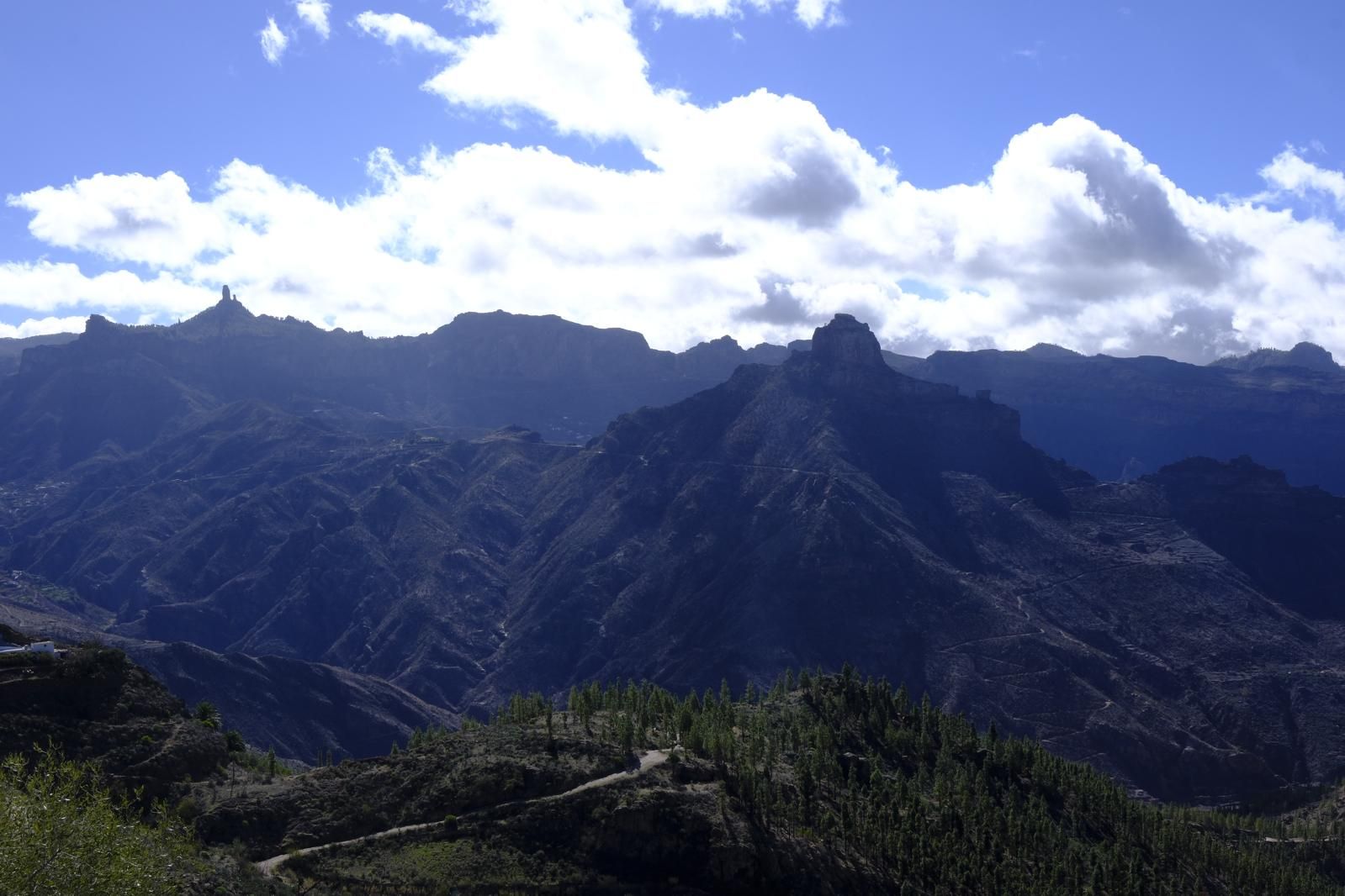 Gran Canaria amanece verde y sin lluvia