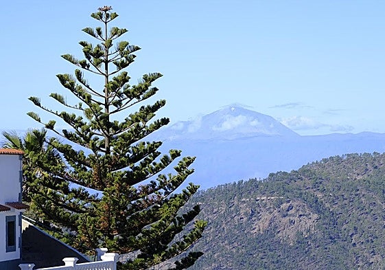 El día amaneció despejado en prácticamente toda Gran Canaria.