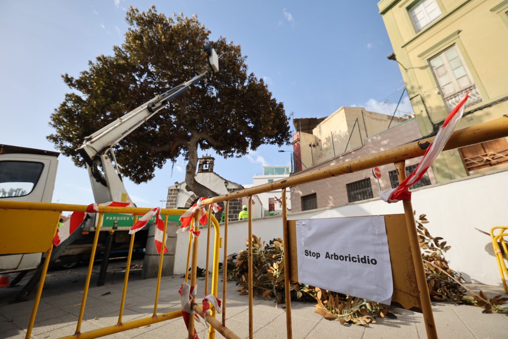 Los vecinos evitan la tala del árbol de la ermita de San Nicolás