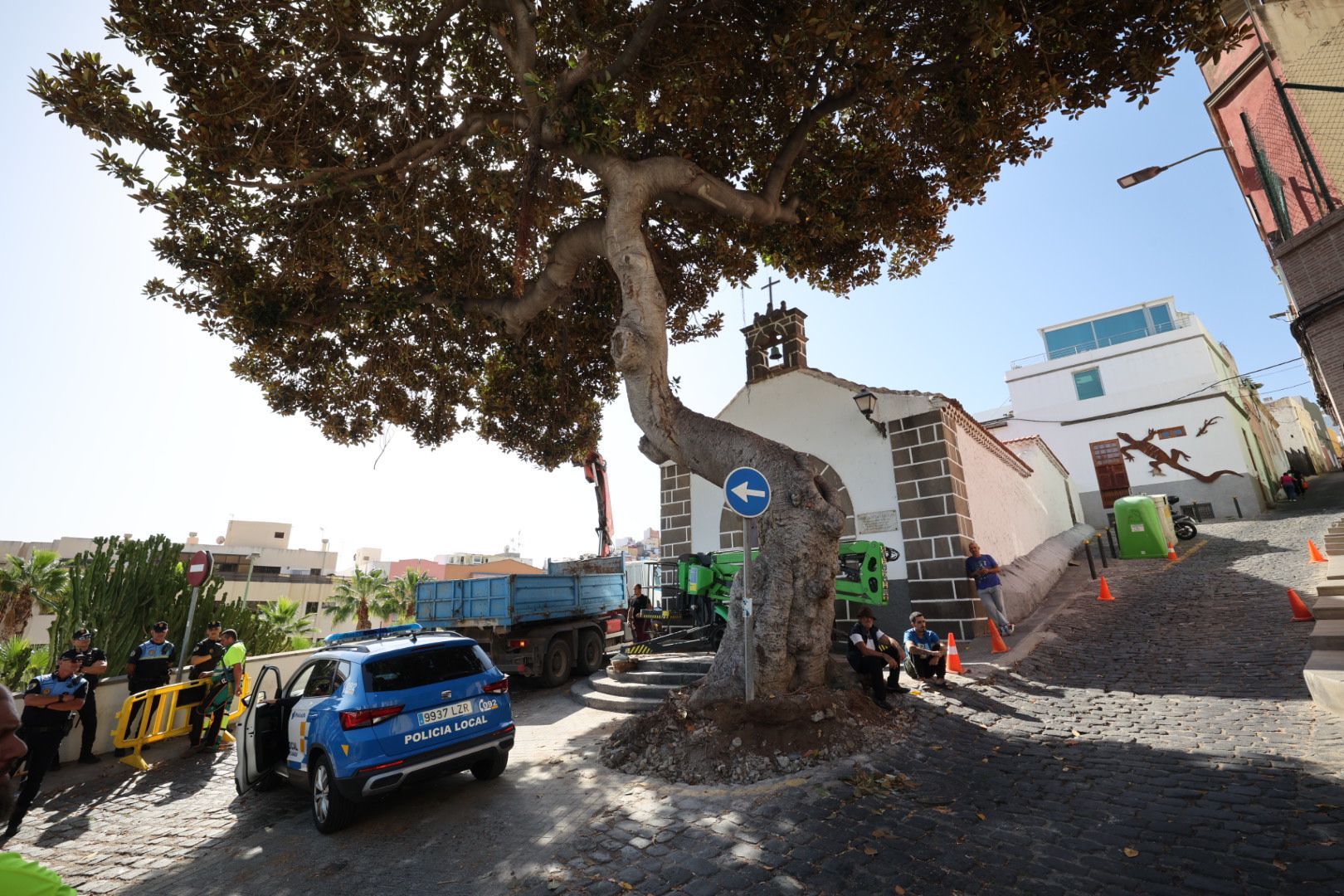 Los vecinos evitan la tala del árbol de la ermita de San Nicolás