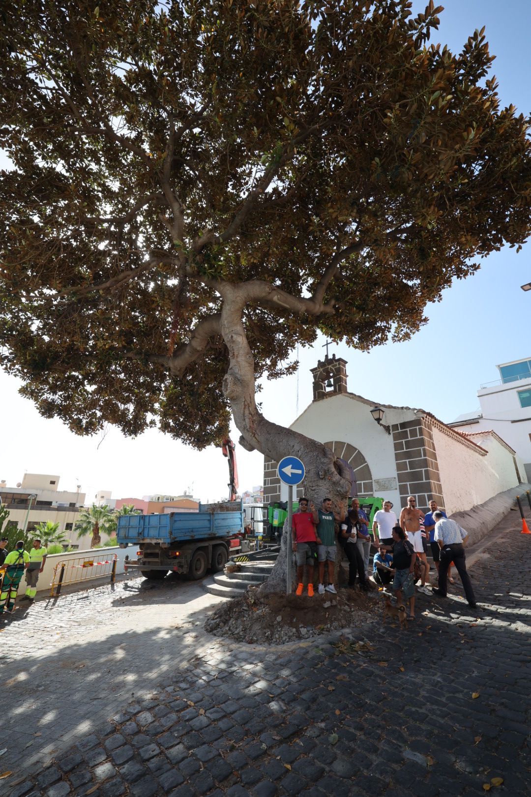 Los vecinos evitan la tala del árbol de la ermita de San Nicolás