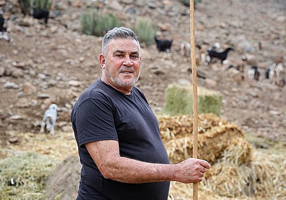 Bajo Amurga. Antonio tiene a sus cabras y ovejas libres, por las laderas.