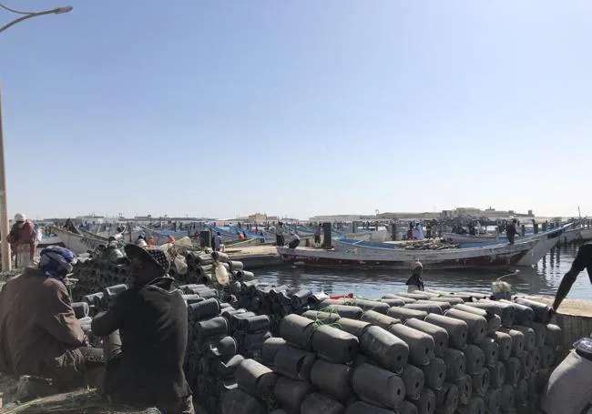 Nasas para coger pulpo en el embarcadero de Nuadibú