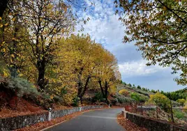 Imagen de una de las carreteras cercanas a Tejeda, Gran Canaria.