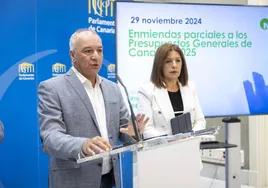 Los diputados de NC Luis Campos y Carmen Hernández presentaron las enmiendas al presupuesto.