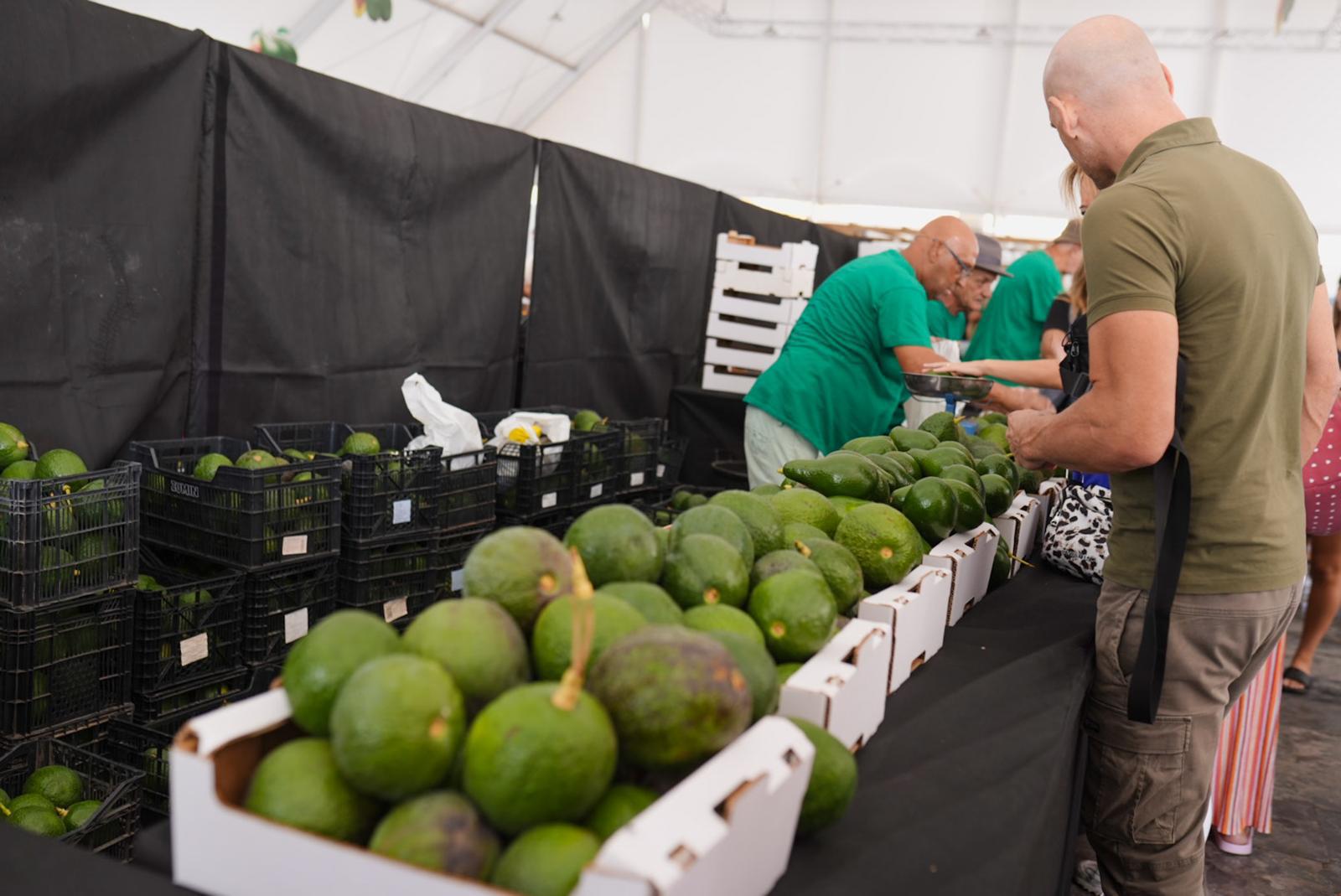 La IX Feria del Aguacate vuelve a Mogán