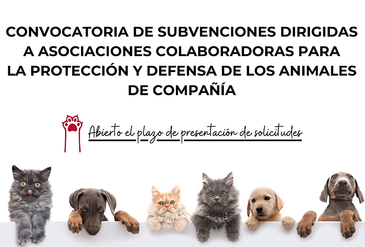 Cartel de la convocatoria de ayudas municipales.