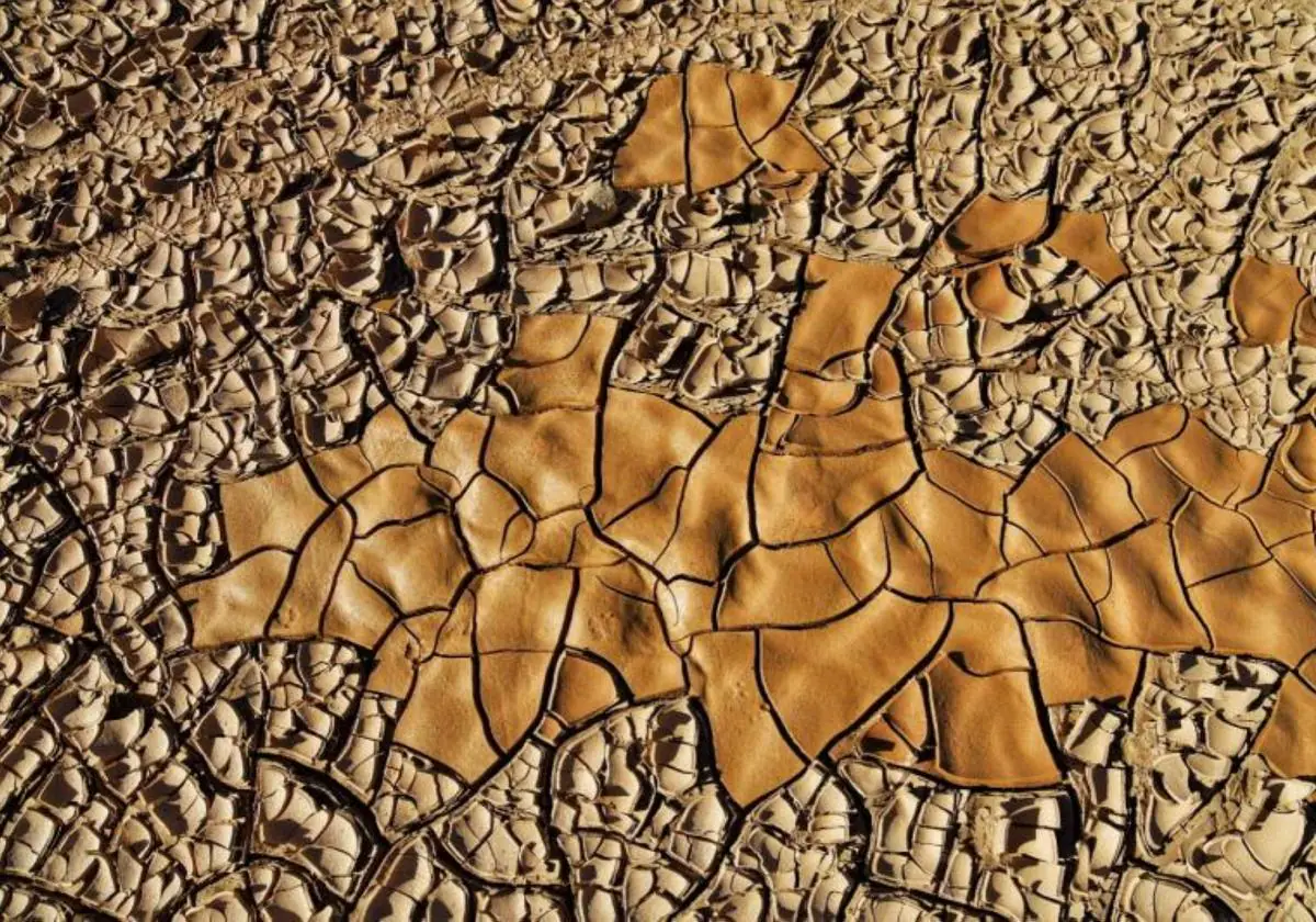 La falta de lluvias y el abandono del uso agrícola afecta a la calidad de los suelos.