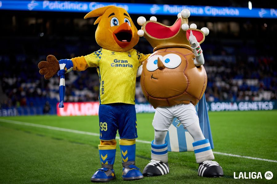 La batalla de Anoeta, en imágenes