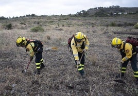 El plan de prevención de incendios forestales califica como de alto riesgo 64.488 hectáreas en Gran Canaria