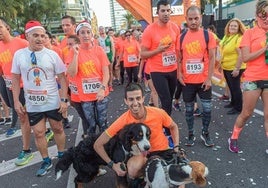 La San Silvestre más perruna supera las 110 mascotas solidarias