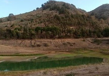 El humedal artificial de las charcas de Los Alemanes acoge a muchas especies protegidas.