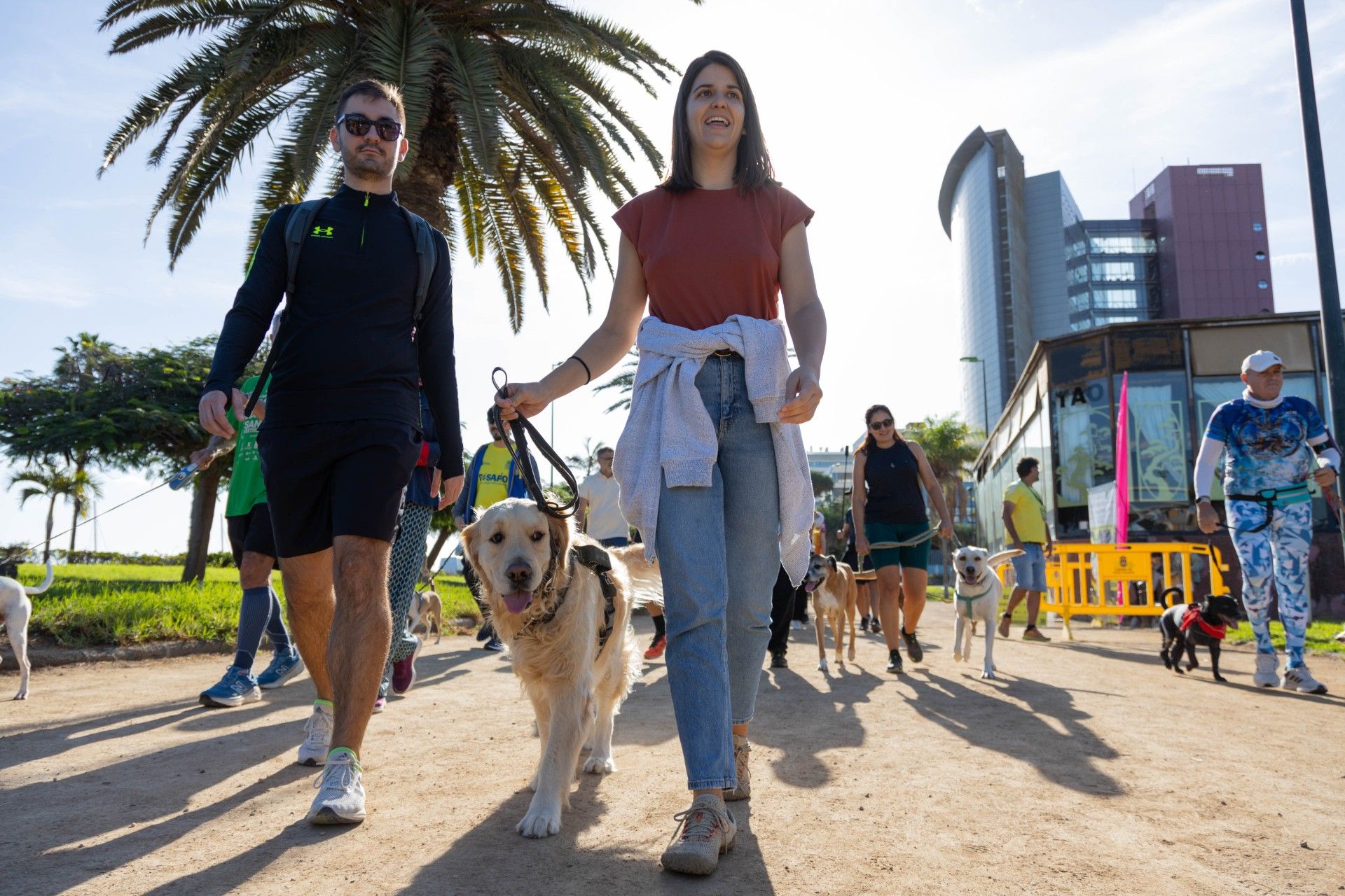 Primer &#039;Dog Training&#039; San Silvestre