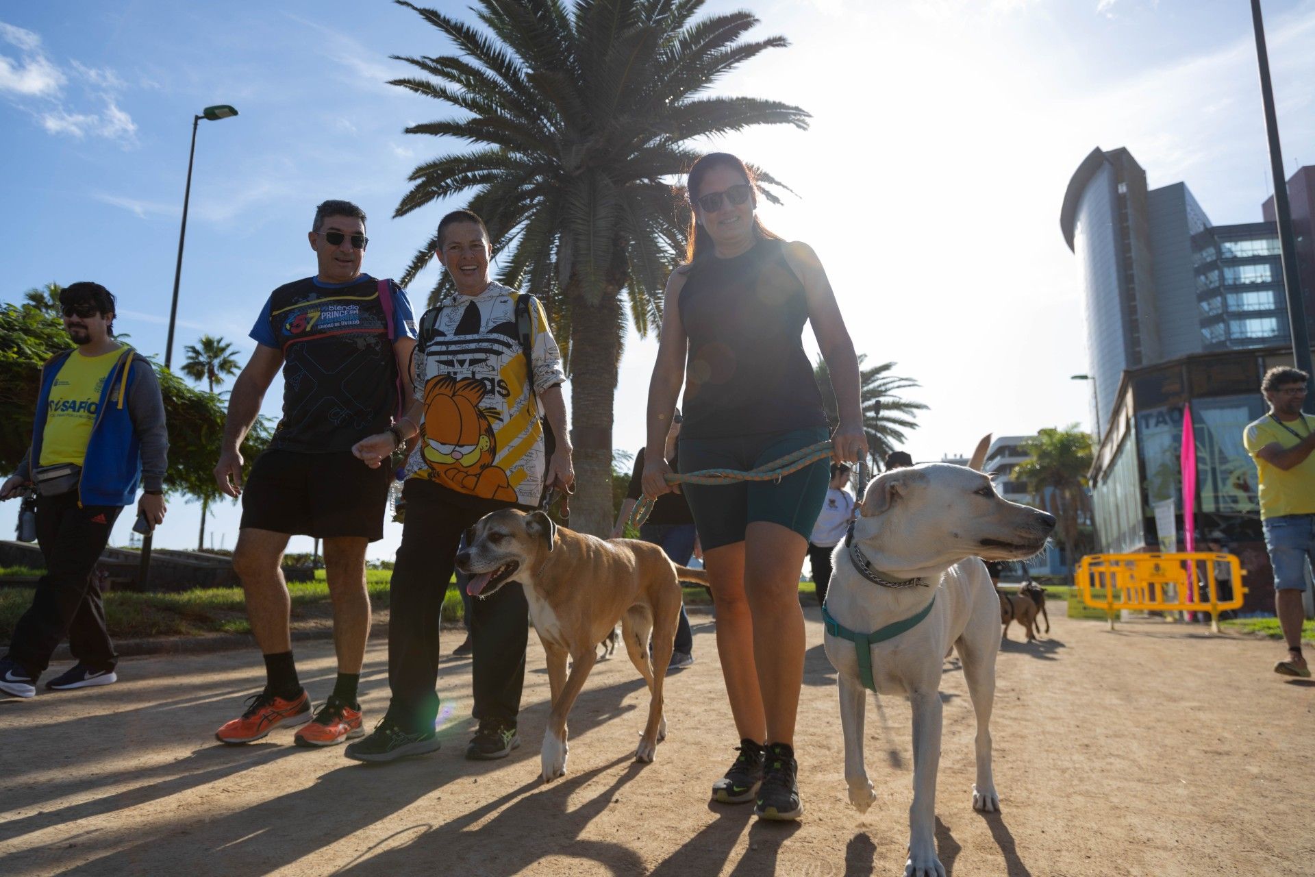 Primer &#039;Dog Training&#039; San Silvestre