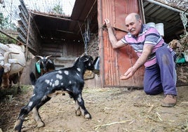 José Guedes: el guardián de las raíces y del valor de la tierra