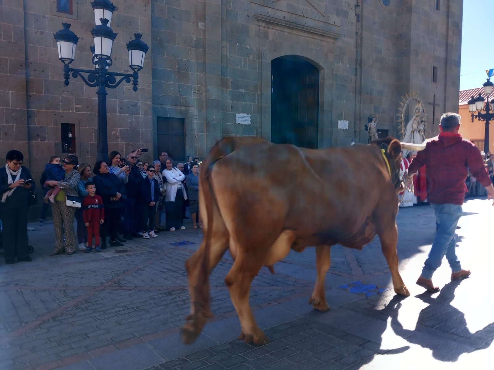 Día grande de San Sebastián en Agüimes