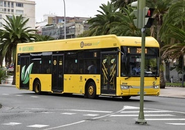 Canarias se queda sin guaguas gratis en 2025 por el rechazo del PP en el Congreso