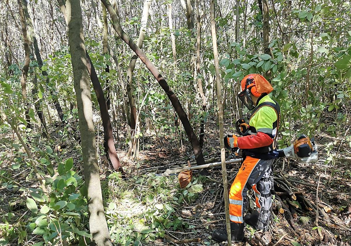 Un total de 125 personas realizaron las prácticas formativas en Gesplan durante el pasado año