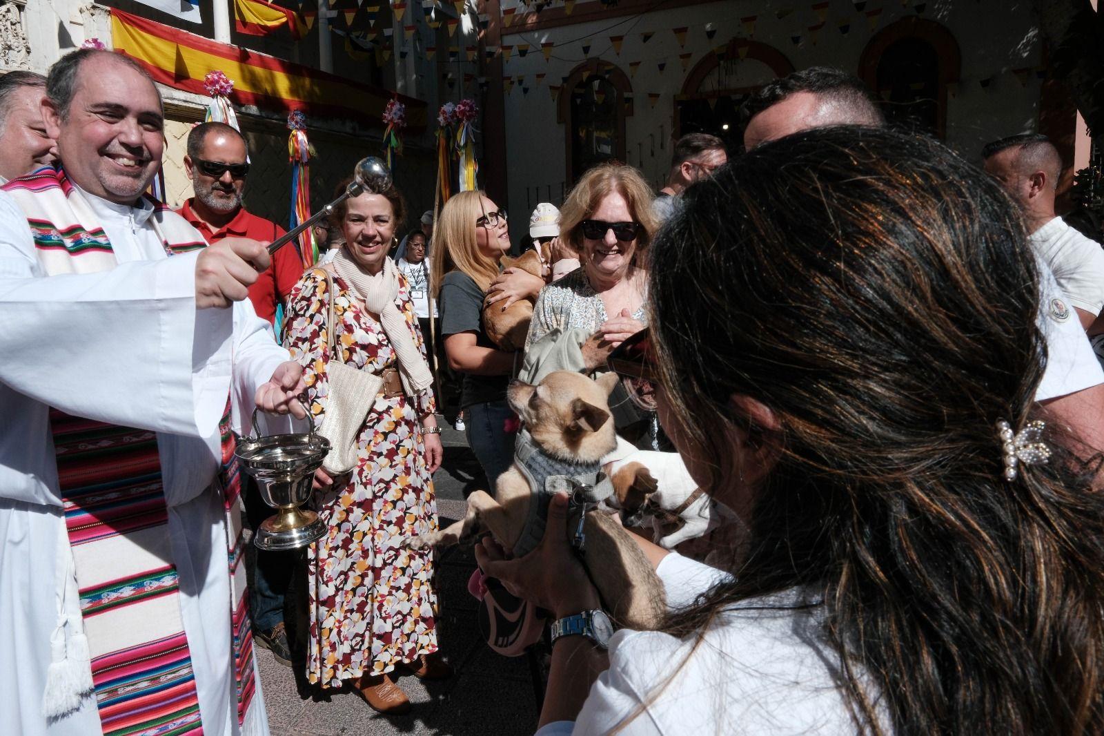 Bendición de mascotas en Tamaraceite