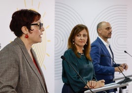 Las consejeras del Gobierno de Canarias de Presidencia, Nieves Lady Barreto (c); de Bienestar Social, Candelaria Delgado (i); y el viceconsejero de Presidencia, Alfonso Cabello (d), durante la rueda de prensa que ofrecieron este lunes para informar de los acuerdos tomados en el Consejo de Gobierno.