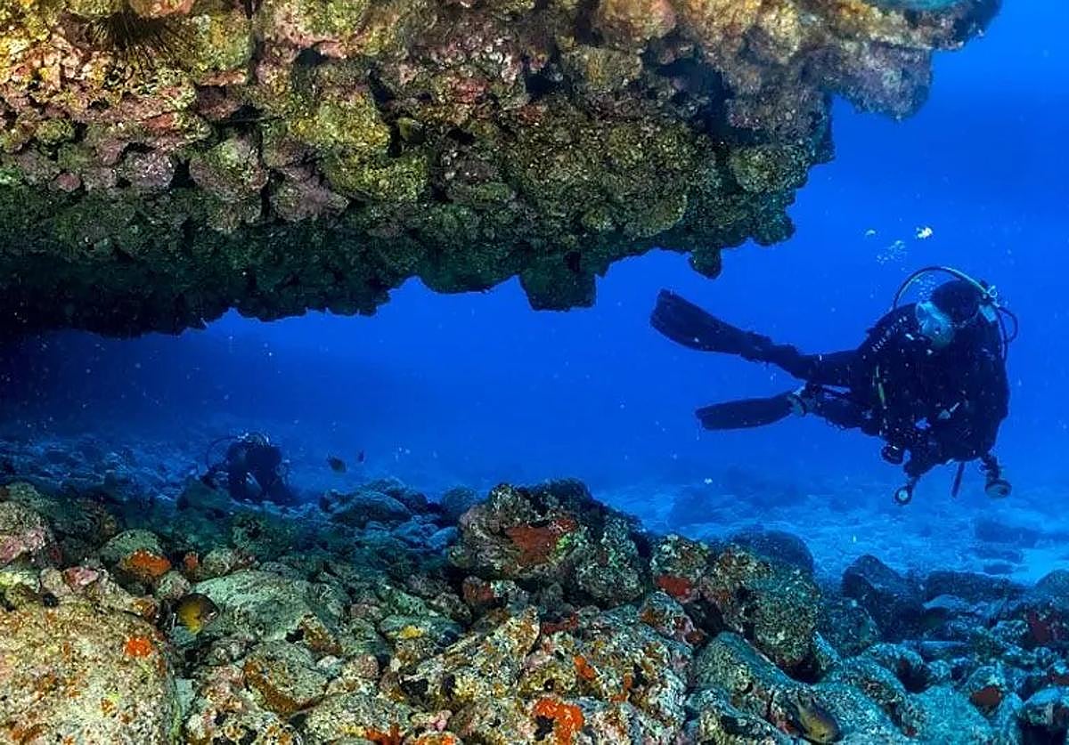 Submarinismo en los fondos que rodean a la Isla de Lobos.
