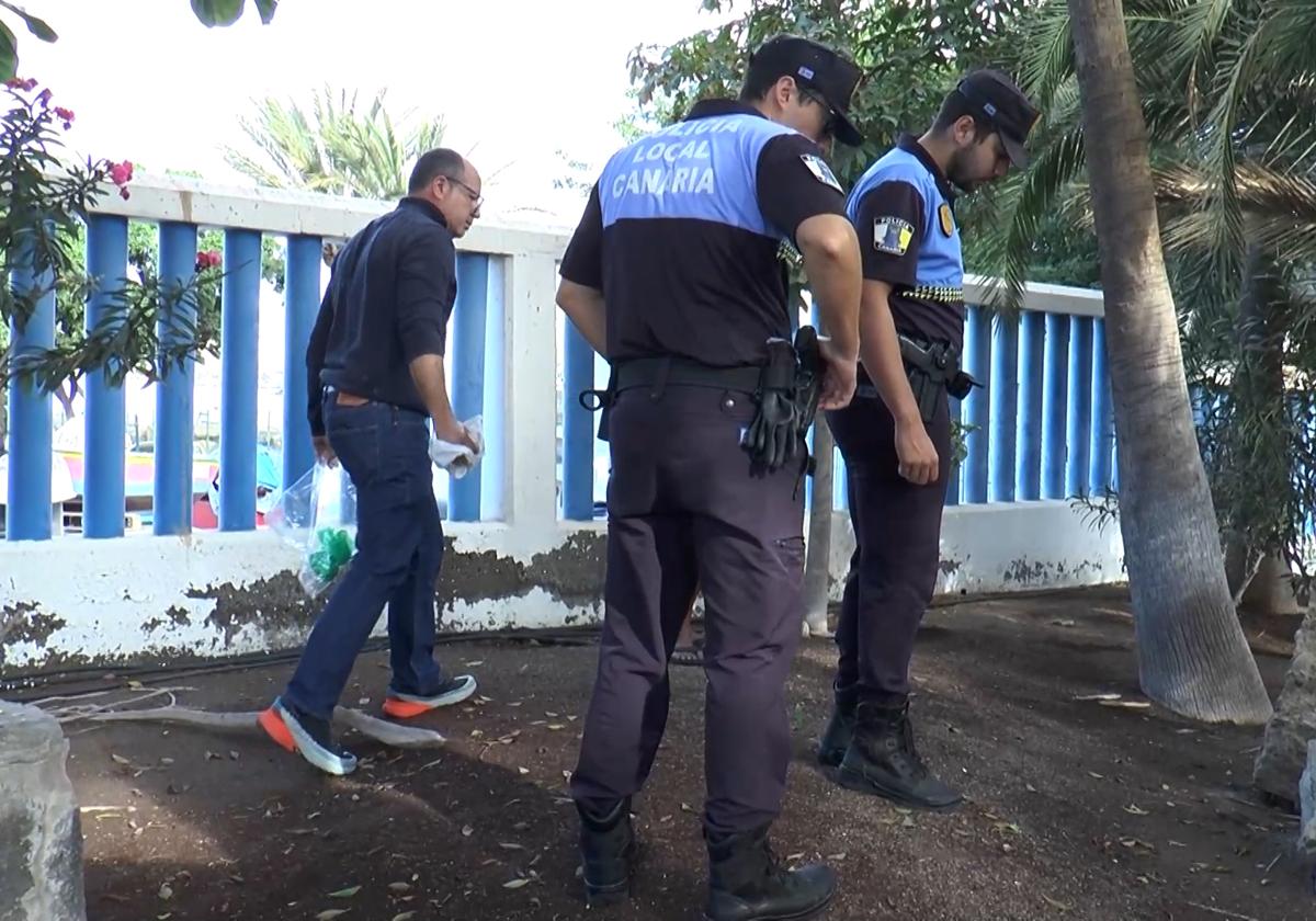 Rayco Guerra y agentes de la Policía Local en los parterres de la avenida Manuel Álamo Suárez (Carpintero de Ribera).